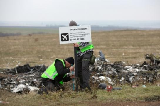 MH17: le rapport final sur les causes du crash publié le 13 octobre - ảnh 1